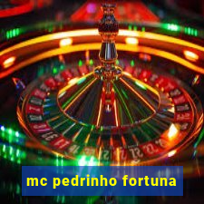 mc pedrinho fortuna